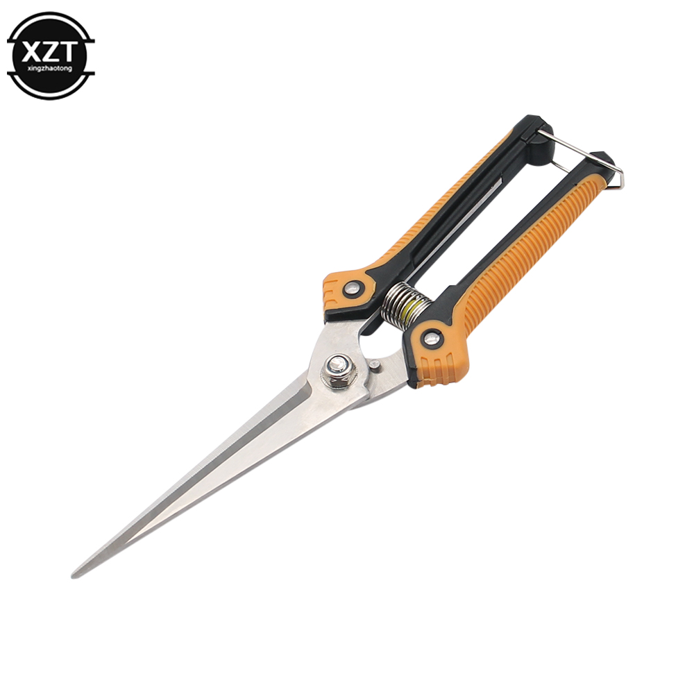 Gardening Tools Sale - 가지 치기 가위 전문 정원 가위