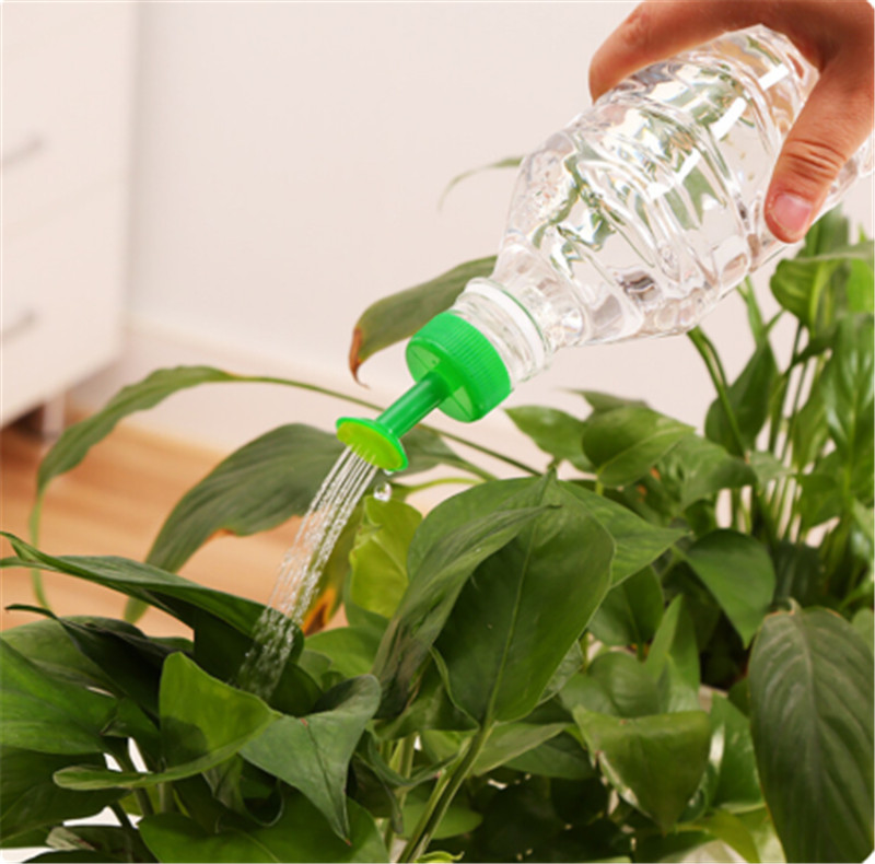 내구성 플라스틱 식물 물 캔 정원 스프레이 Watere - Gardening Tools For Sale 리뷰 및 가격