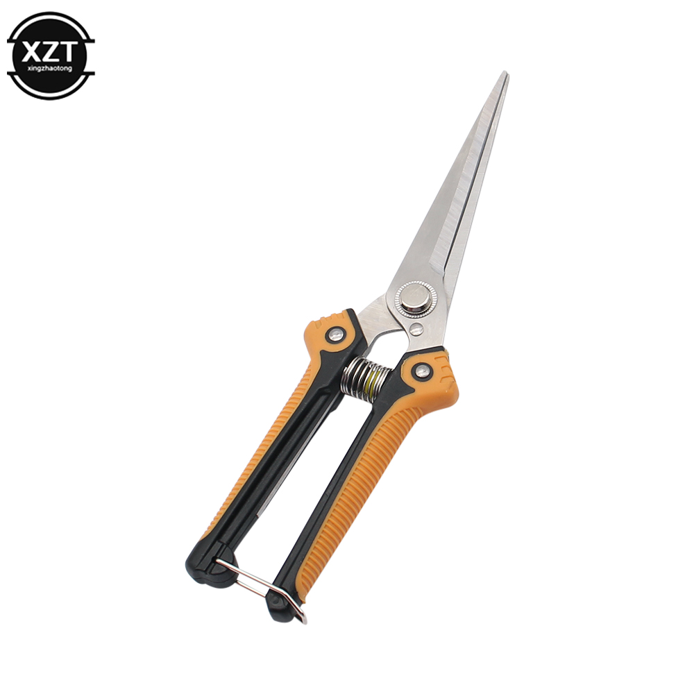 가지 치기 가위 전문 정원 가위 스트레이트 스테인레스  - Gardening Tools Sale 리뷰 및 가격