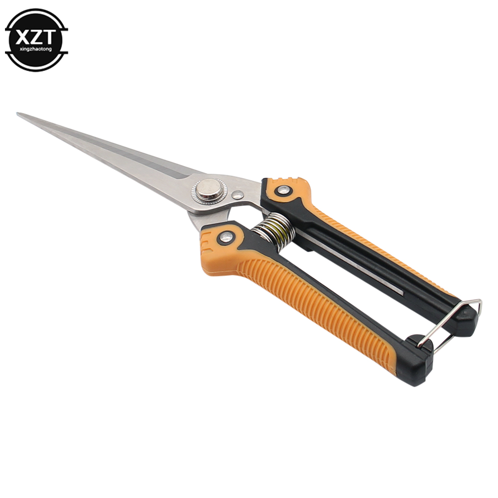 가지 치기 가위 전문 정원 가위 스트레이트 스테인레스  - Gardening Tools Sale 리뷰 및 가격