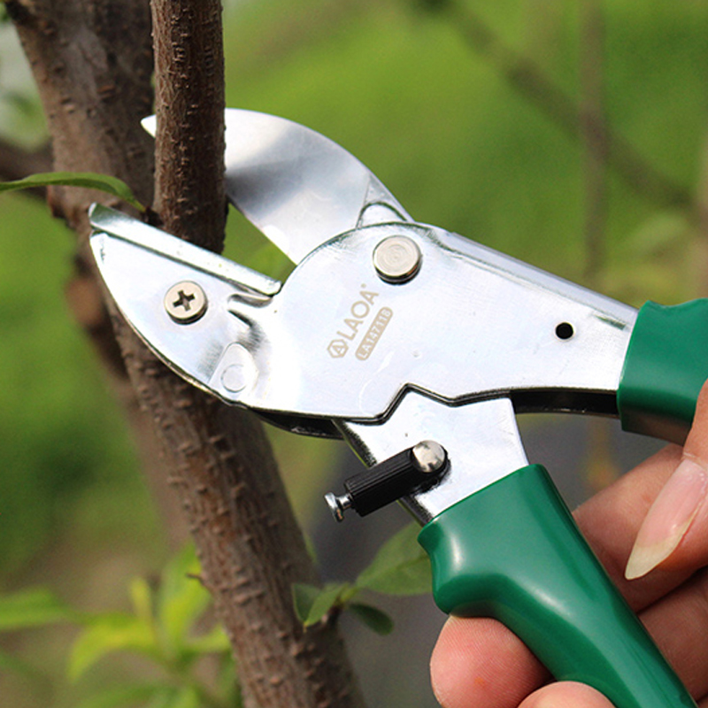 LAOA SK5 가지치기 가위 8인치 원예 가위 과일  - Gardening Tools Sale 리뷰 및 가격