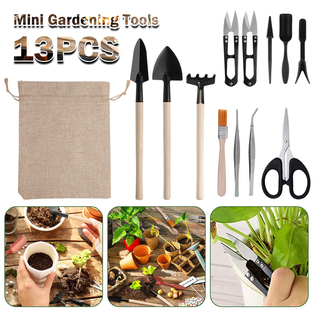 즙이 많은 식물 도구 미니 정원 손 도구 이식 야외 분 - Gardening Tools Sale 리뷰 및 가격