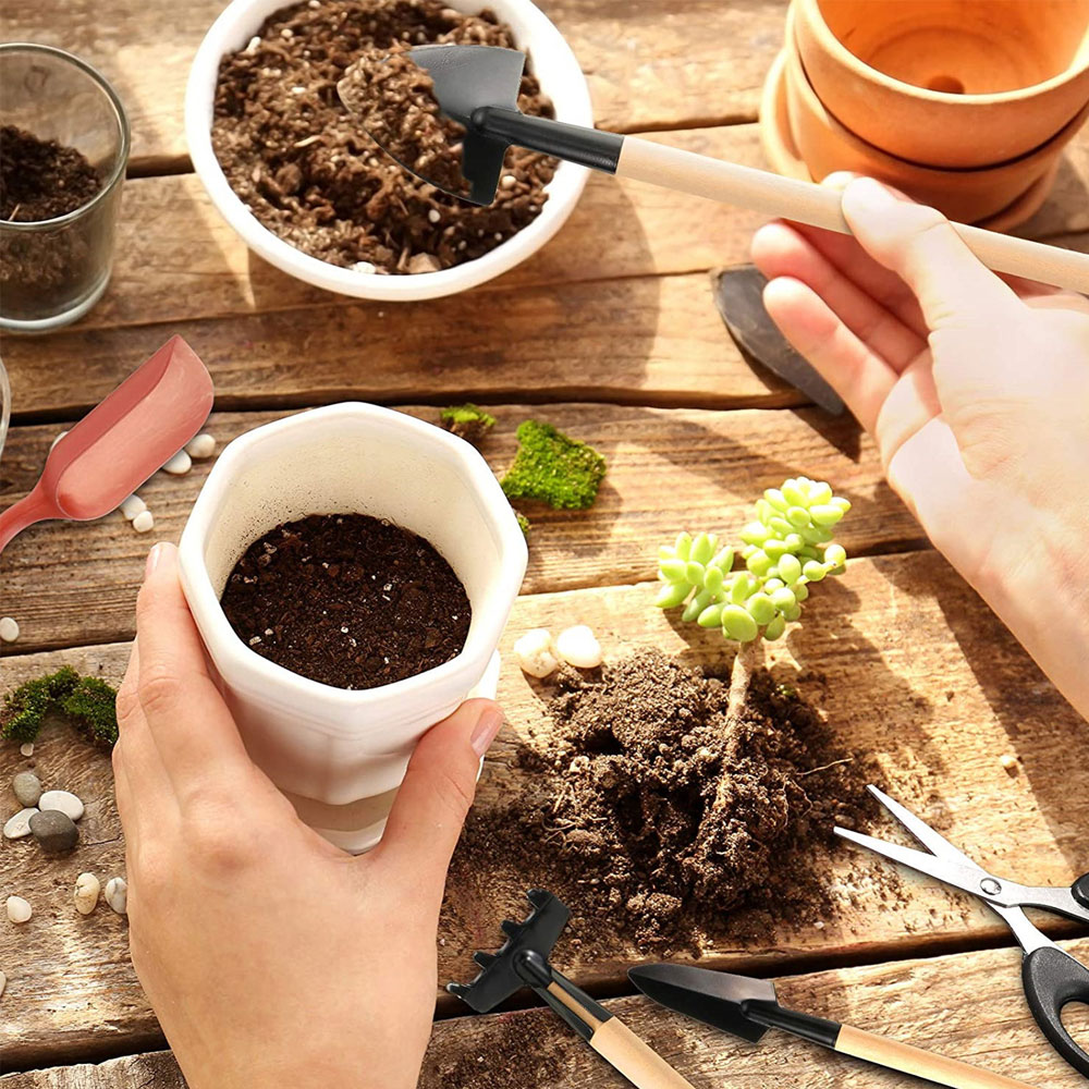 즙이 많은 식물 도구 미니 정원 손 도구 이식 야외 분 - Gardening Tools Sale 리뷰 및 가격