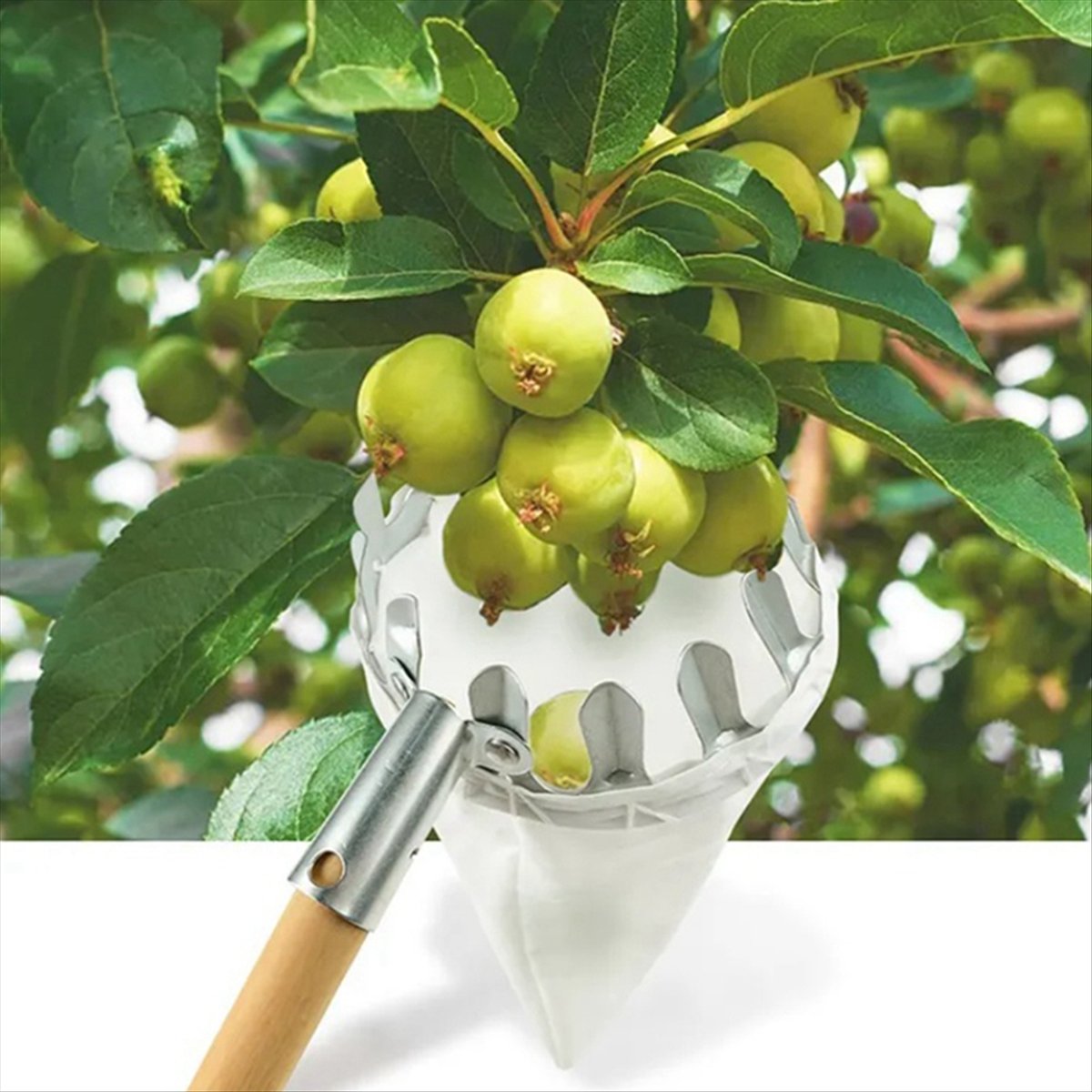 【클리어런스 세일】금속 과일 따는 도구 과수원 원예 복 - Gardening Tools For Sale 리뷰 및 가격